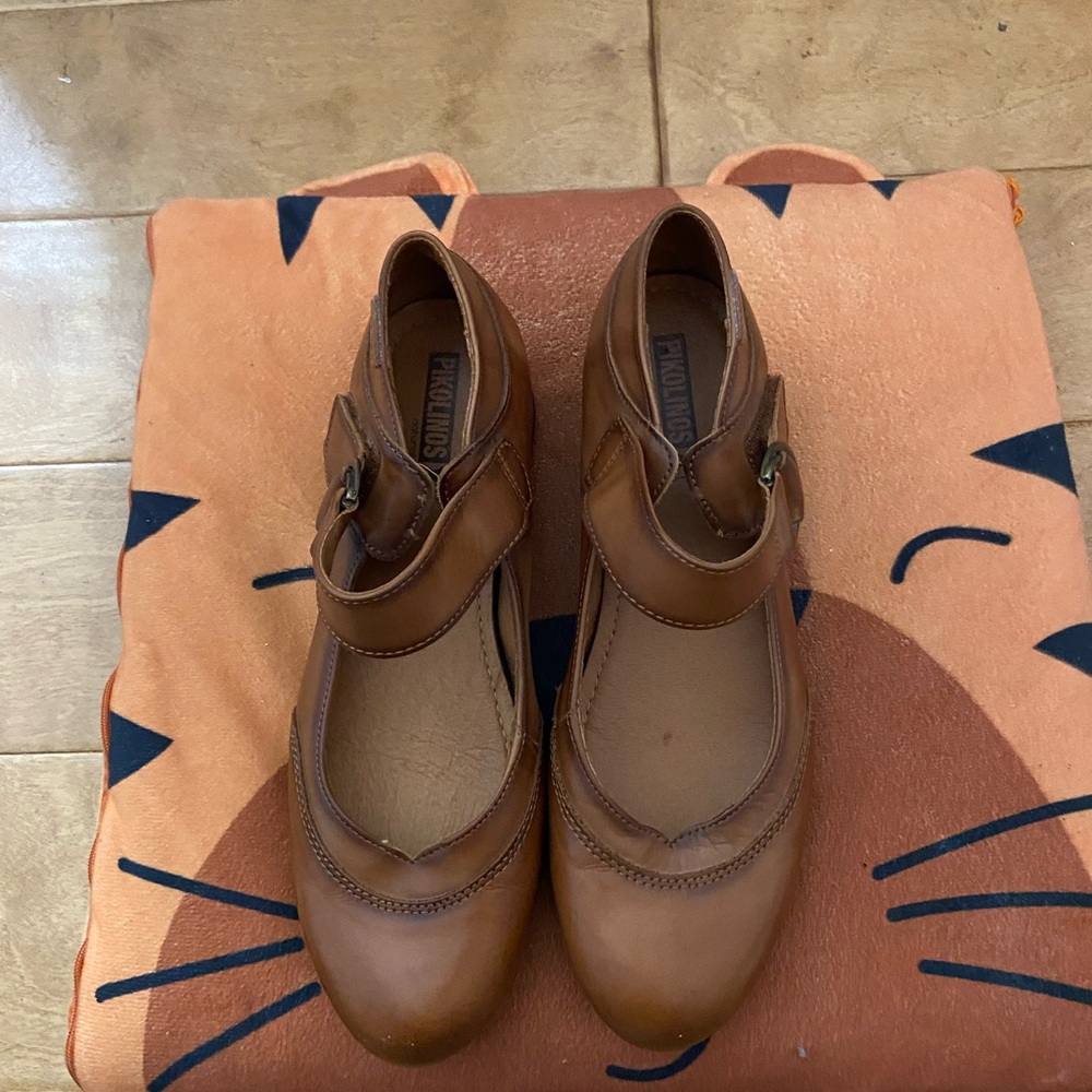Brown Leather Mary Jane Shoes NWOB
